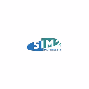 SIM2 Multimedia - professional projectors